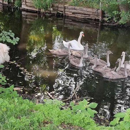 Zimmer Am Hegensteinbach Ξενοδοχείο Ravensbruck Εξωτερικό φωτογραφία